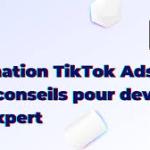FORMATION TIKTOK ADS
